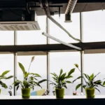 Indoor Air Quality Best Practices