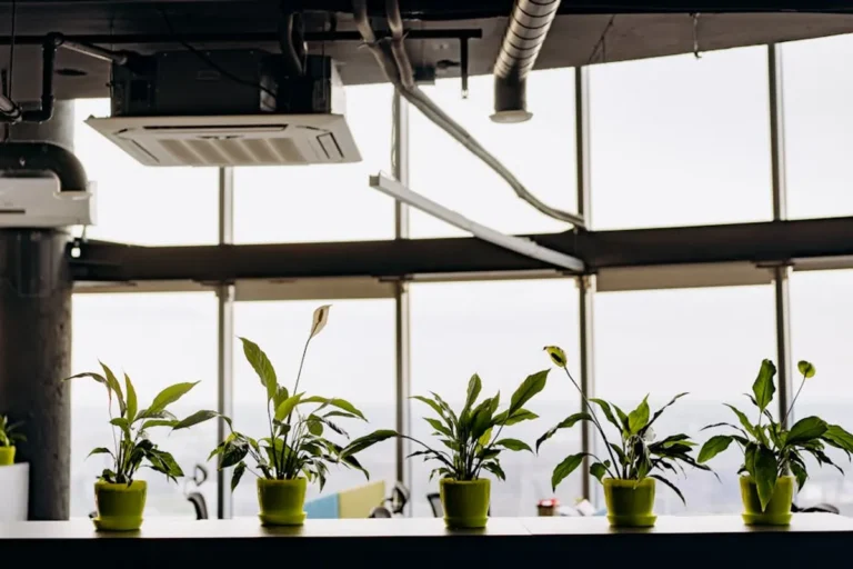 Indoor Air Quality Best Practices