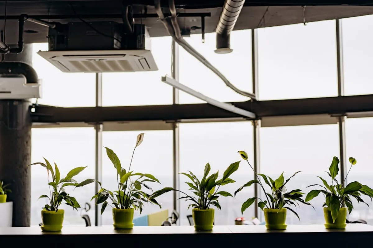 Indoor Air Quality Best Practices